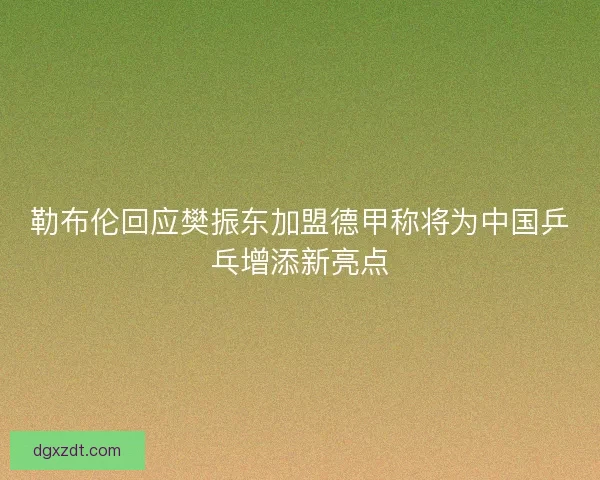 勒布伦回应樊振东加盟德甲称将为中国乒乓增添新亮点