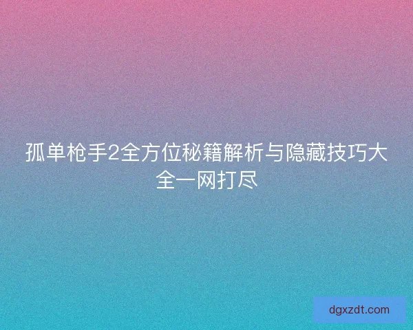 孤单枪手2全方位秘籍解析与隐藏技巧大全一网打尽